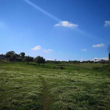 Storie Di Campagna 营地 *