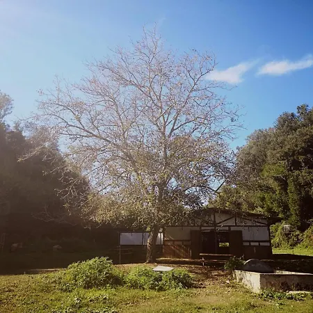 Storie Di Campagna *